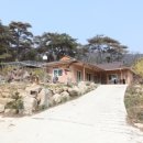 산수유길사이로 네이버블로그