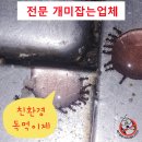 용인보문소독방역 | 수원 용인 개미잡는업체 개미 퇴치 방역 효과 꿀팁 대공개
