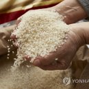 이천농업협동조합 연합뉴스