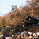 용인자연휴양림 야영장 이미지