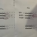 세렌디 피티 짐 이미지