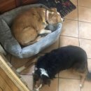 박진석성형외과의원 이미지