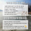 얼음이네 이미지