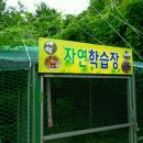 인삼랜드 휴게소(하) 이미지