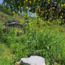 유곡 경로당 | [구례유곡마을]구례캠핑 유곡마을 노지캠핑 무료 세번째 방문 후기 차박 캠핑먹방 숯불구이