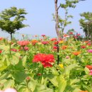 무안한옥리조트 이미지