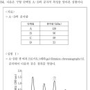 2021 PEET 생물추론 14번 : 젤 여과 크로마토그래피, SDS-PAGE 이미지