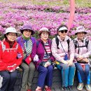 카페미미 - 부산진구 시민공원로19번길 68 | 카페미미