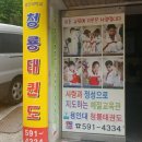 K 용인대태권도 이미지