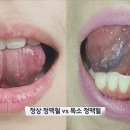 자연나무한의원 이미지