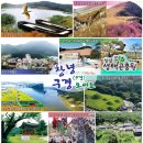그린농원민박 | 안녕 창녕군에서 한 달 살아보기 - 2025년 준비하세요.