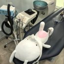 행복한소아치과의원 | [미사 어린이치과] 행복한소아치과 "아이 충치 심할 때, 마취 ·신경치료 괜찮을까요?"