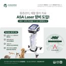 컴페니온 이미지