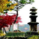 결성정육점 이미지