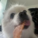 해바라기가맥 | 행복해바라기