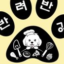 반려반상