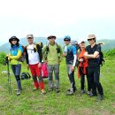 선인목장 이미지