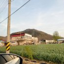 달성횟집식당 이미지