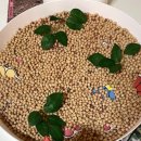 삼성하늘숲어린이집 이미지