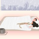 송도종합동물병원 이미지