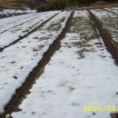 태광농장 이미지