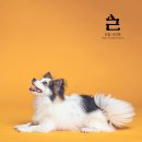 리을사진관 이미지