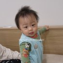 Natural Box | 크리스마스 아기 코스튬 사지마세요. 아기 크리스마스 프로필 사진, 무료 AI 프롬프트 공유!