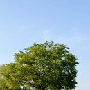 파주출판단지 근린공원(1) 이미지