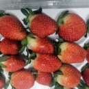 윤슬농장 이미지