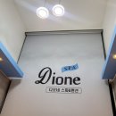 디오네스파펜션 이미지