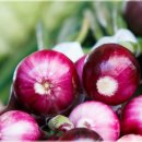 일상의 작은변화 이미지