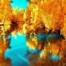 Sergey Grischuk - The Colors of Autumn 이미지