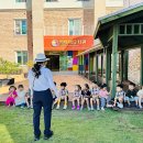 [안전교육] 교통안전에 대해 알아보아요! 이미지