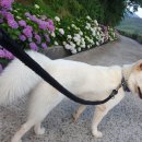 장곡목장 이미지