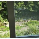 딩동댕애견스파풀빌라 이미지