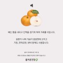 맘꽃약국 이미지