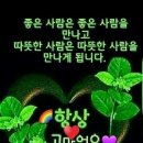 농바시공인행정사 이미지