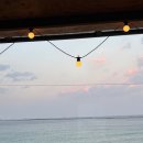 돌담 너머 하늘 이미지