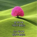 플라토닉 이미지