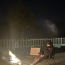 대나무골숯불갈비 | 언제부터 밀린지도 모르는 나의 일상 다이어리 🫧💖