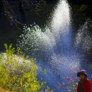 곰배령가든 이미지