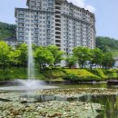 그랑셰프(콘도) 이미지