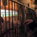 보다더동물농장 이미지