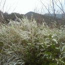 솔샘농장 이미지