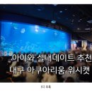 주식회사 도담아이 신세계 대구점 | 대구 아이와 가볼만한 곳: 아이와 실내데이트 추천, 대구 아쿠아리움 위시캣 콜라보! 대구 아쿠아리움...