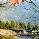 원대농장 이미지