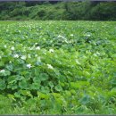 지정회관 이미지