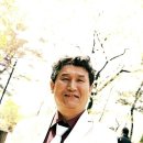 아미서가 이미지