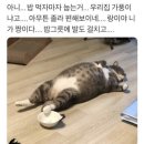 가마솥김밥 이미지