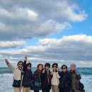 제주기사 | 제주도 쏠라티 렌트 대절 후기 기사포함 제주 여행 완벽 가이드